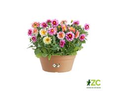Žardina Green Basics Bowl - mild terra 27 cm 
