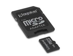 Kingston 2GB Micro Secure Digital Card (SD) adapt.