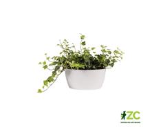 Žardina Brussels Bowl - white 23 cm