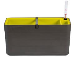 Truhlík samozavlažovací Berberis - antracit + zelená 40 cm