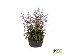 Žardina Brussels Bowl - antracit 23 cm