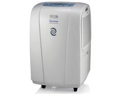 DELONGHI DH 300 P