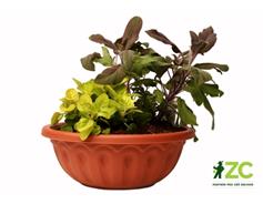 Žardina Lea - terakota 30 cm