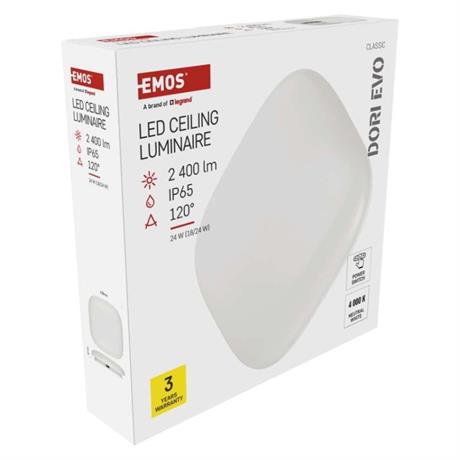 First Slide
