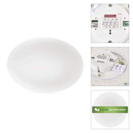 First Slide