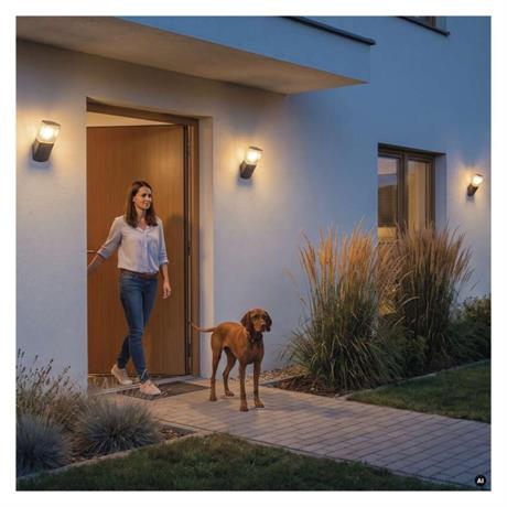 First Slide