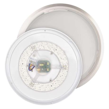 First Slide