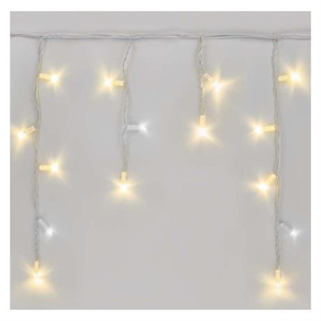 First Slide