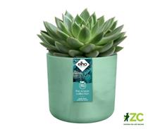 Obal The Ocean collection round - pacific green 14 cm