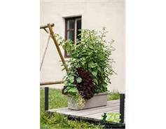 Truhlík samozavlažovací Berberis Trio - taupe 117 cm
