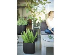 Keter Květináč Keter Cube Planter M antracit