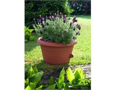 Žardina samozavlažovací Siesta bez závěsu - terakota 30 cm