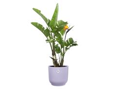 Obal Vibes Fold - soft lilac 30 cm
