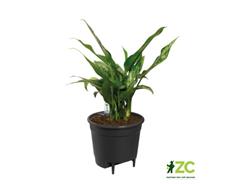 Vložka samozavlažovací - 36 cm