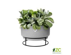 Obal B.For Studio Bowl - living concrete 30 cm