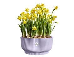 Obal Vibes Fold Bowl - soft lilac 25 cm