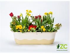 Truhlík samozavlažovací Mareta - sv.+ tm. slonová kost 80 cm