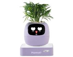 PLANTSIO Ivy 2 gen. fialový 