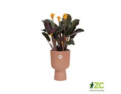 Obal Vibes Fold Coupe - delicate pink 14 cm 