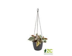 Obal Brussels Hanging Basket - antracit 18 cm