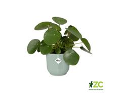 Obal Vibes Fold - sorbet green 16 cm 