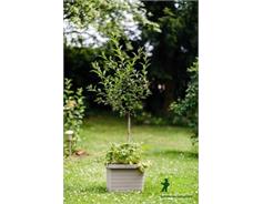 Truhlík samozavlažovací Berberis Uno - taupe 45 cm