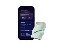 Owlet Dream Sock - Original Mint