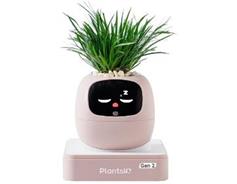 PLANTSIO Ivy 2 gen. růžový 