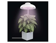EMOS LED GROW pěstební lampa 5 W, časovač, bílá