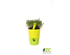 Květináč Rosmarin - žlutá + zelená 11 cm