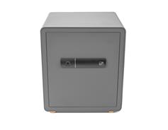 G21 Trezor G21 na otisk prstu 400 x 450 x 350 mm 