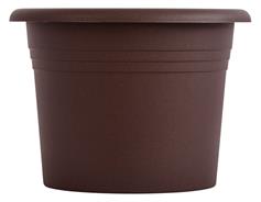 Obal Narcis - čokoládový 11 cm