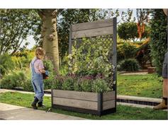 Keter Květináč Keter Deco Tulip Ashwood