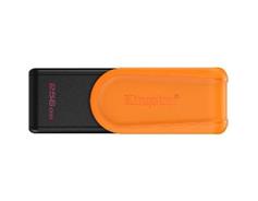 Kingston USB FD DTXS/256GB USB 3.2 