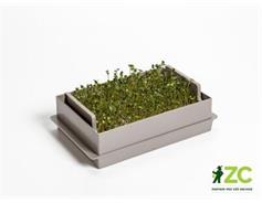 Microgreens Economy - taupe