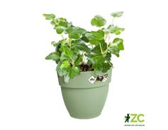 Květináč Vibia Campana Easy Hanger Small - pistachio green