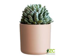 Obal Lora - bledě růžová 22 cm