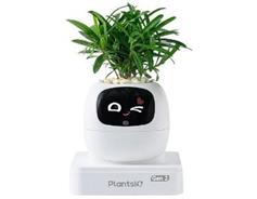 PLANTSIO Ivy 2 gen. bílý 