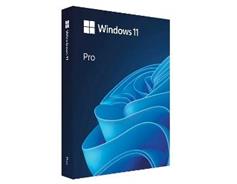 MICROSOFT Windows Pro 11 64-bit CZ USB 