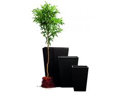 Keter Květináč Keter Rattan Planter M 55,4 l grafitový