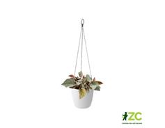 Obal Brussels Hanging Basket - white 18 cm