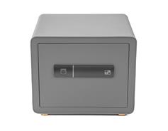 G21 Trezor G21 na otisk prstu 380 x 310 x 300 mm