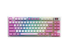 MSI FORGE GK600 TKL Wrl Violet 