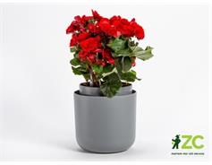 Květináč samozavlažovací Tolita - šedý recyklát 16 cm
