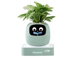 PLANTSIO Ivy 2 gen. zelený 