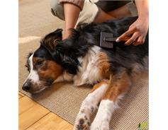 Kartáč s plastovými hroty Pet Care - 2009140 - Fiskars