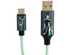 LAZERBUILT Harry Potter USB-C charg. ca. 