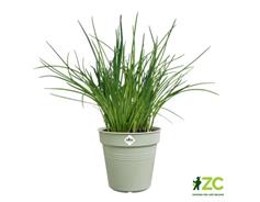 Květináč Green Basics - stone green 27 cm 