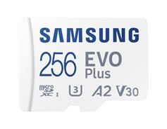 Samsung MicroSDXC 256GB EVO Plus+SD adap 