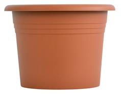 Obal Narcis - terakota 21 cm
